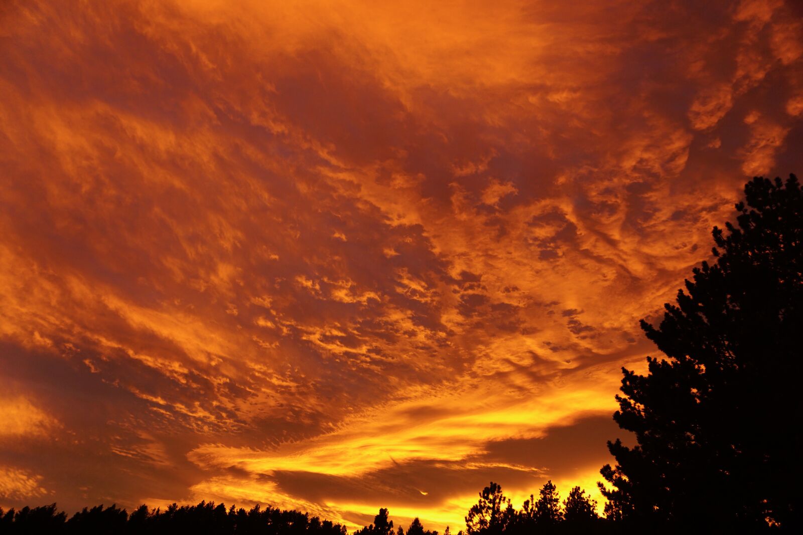 Sony E 16-50mm F3.5-5.6 PZ OSS sample photo. Sunset, outdoors, nature photography