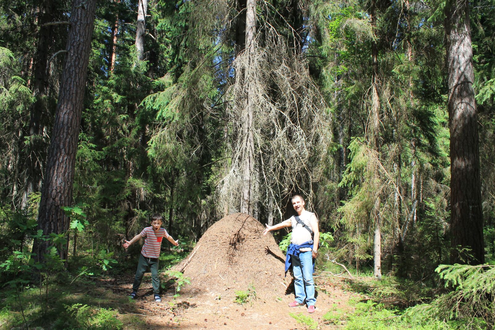 Canon EOS 1100D (EOS Rebel T3 / EOS Kiss X50) sample photo. Surprise, anthill, giant photography