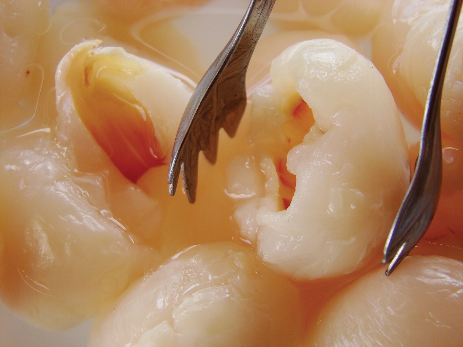Sony DSC-H9 sample photo. Sweet, jam, lychee photography