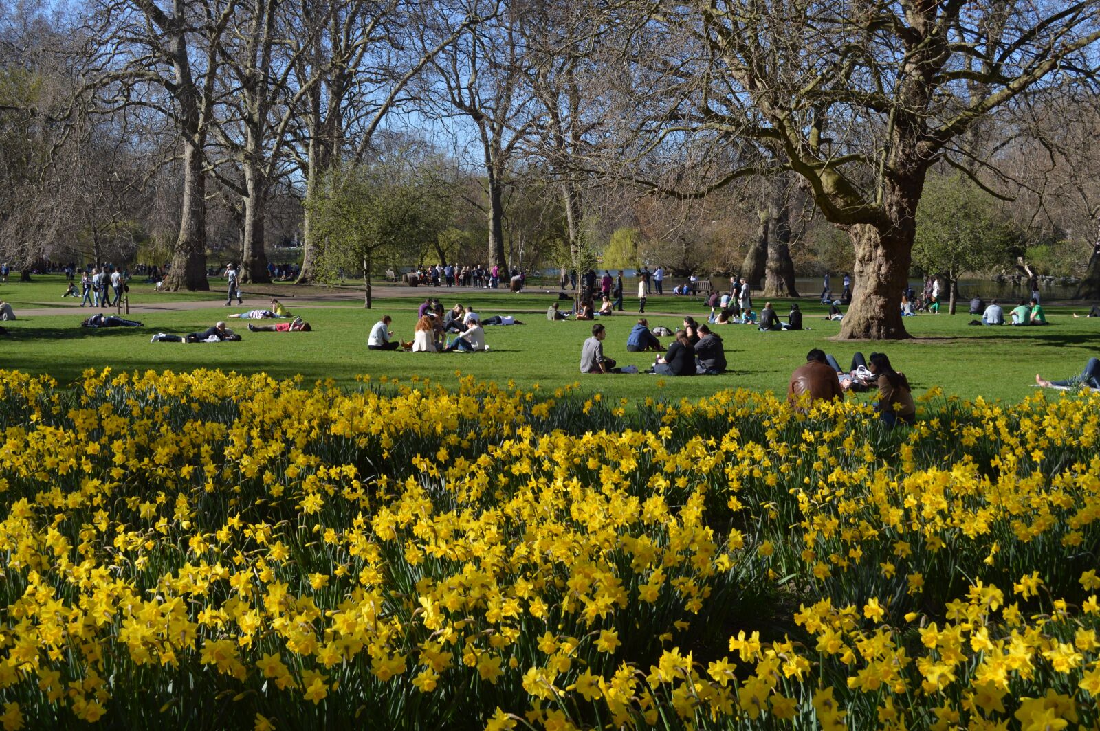 Nikon D3200 sample photo. St james's park, london photography