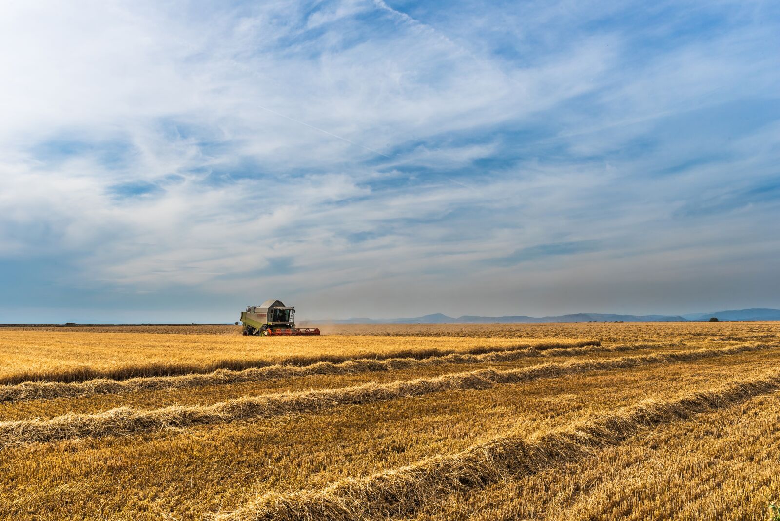 Nikon D750 sample photo. Field, agriculture, harvest photography