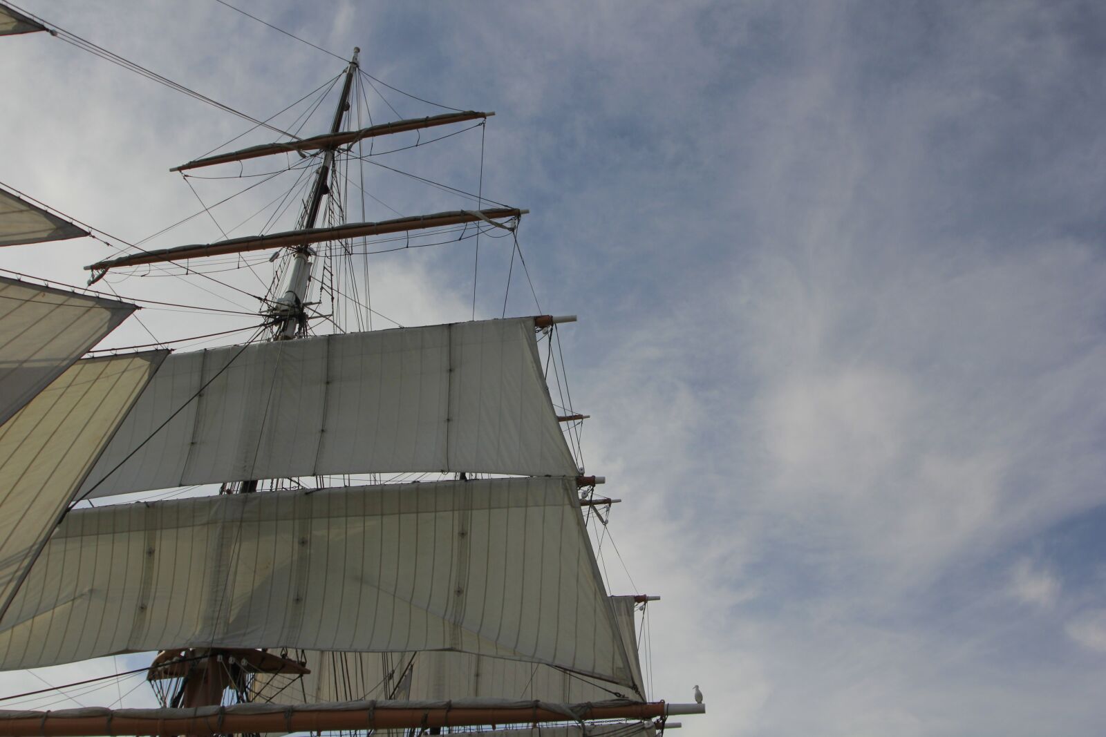 Canon EOS 550D (EOS Rebel T2i / EOS Kiss X4) sample photo. Mast, ship, sun photography