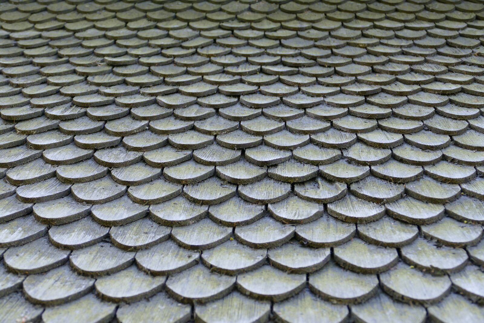 Panasonic Lumix DMC-FZ1000 sample photo. Roof, shingle, wood photography