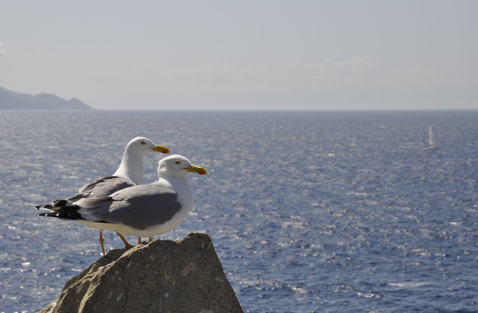 Nikon D5000 sample photo. Sea, waters, ocean photography