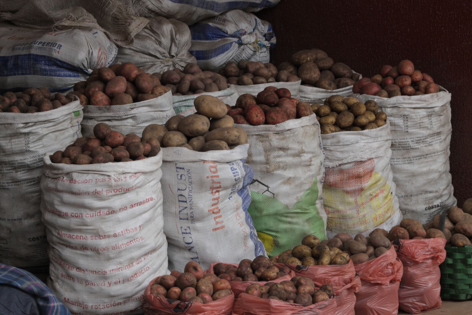Canon EF75-300mm f/4-5.6 sample photo. Potatos, harvest, sale photography