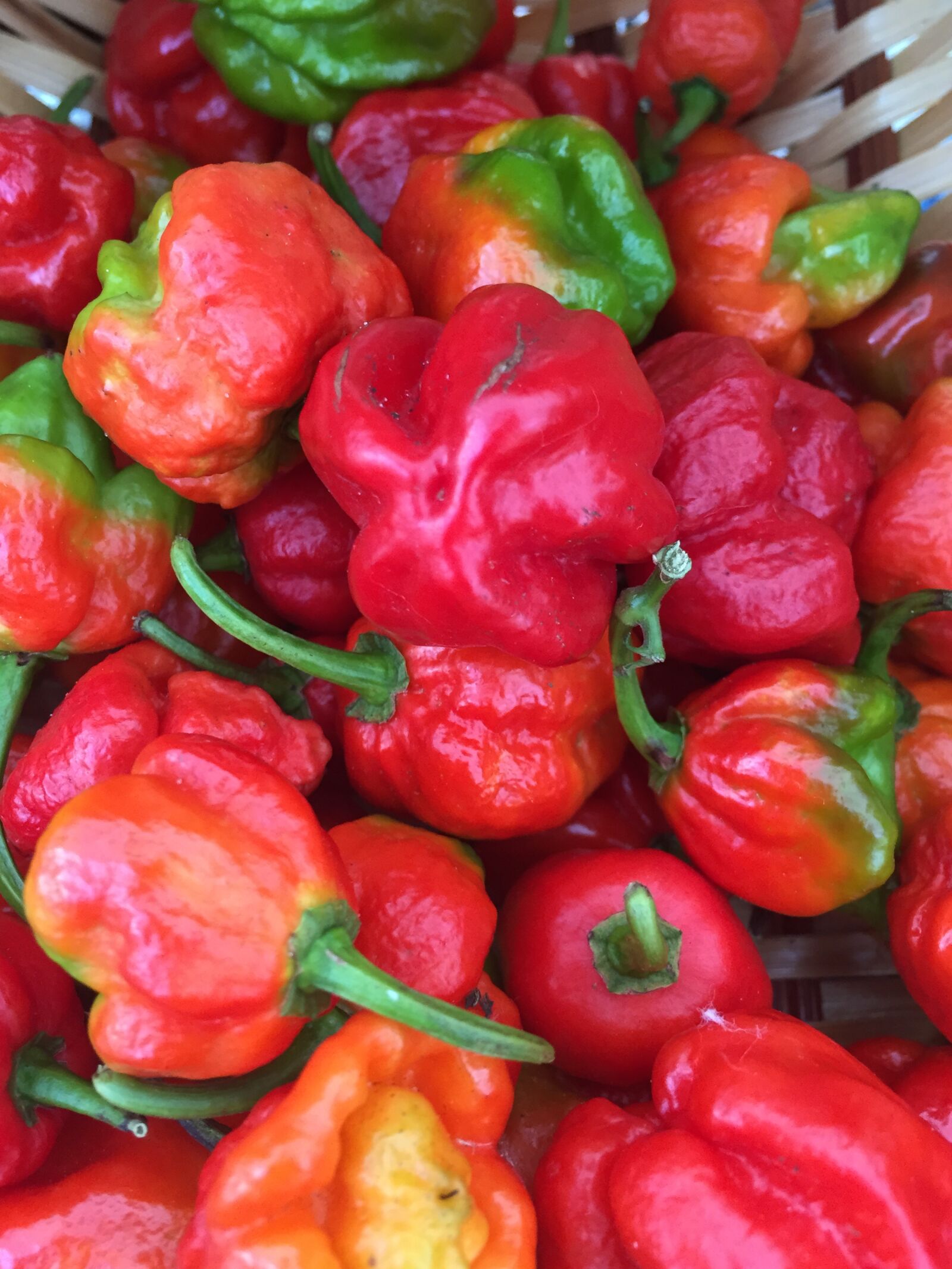 iPhone 6 back camera 4.15mm f/2.2 sample photo. Red, peppers, vegetables photography