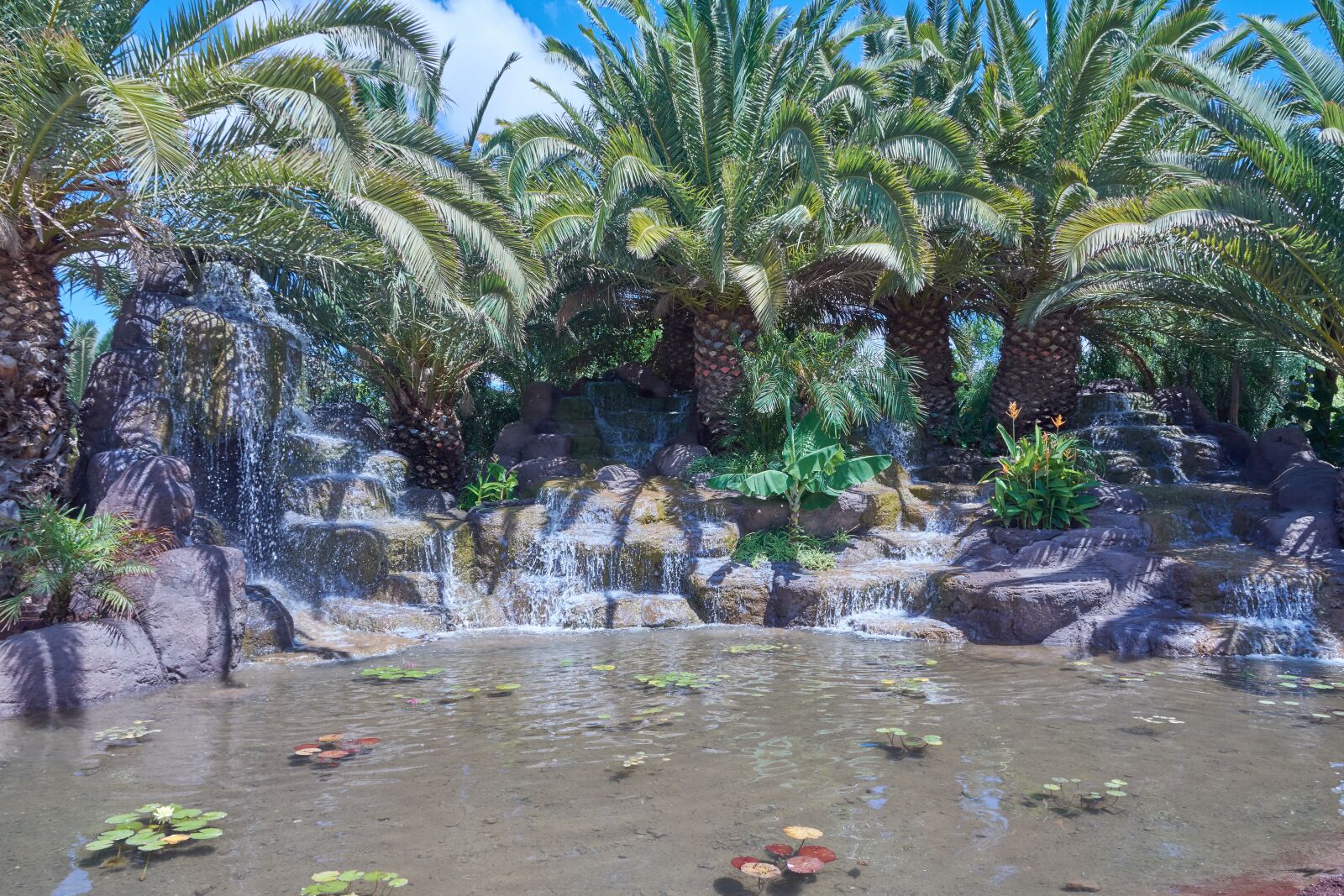 Nikon D7200 sample photo. Oasis, palm trees, water photography