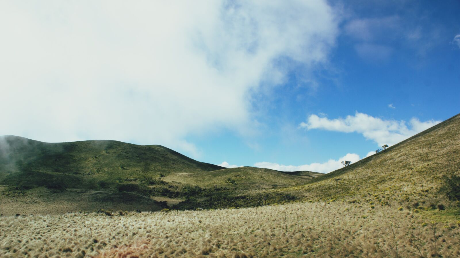 Sony Alpha DSLR-A350 sample photo. Mauna kea, mountain, hill photography