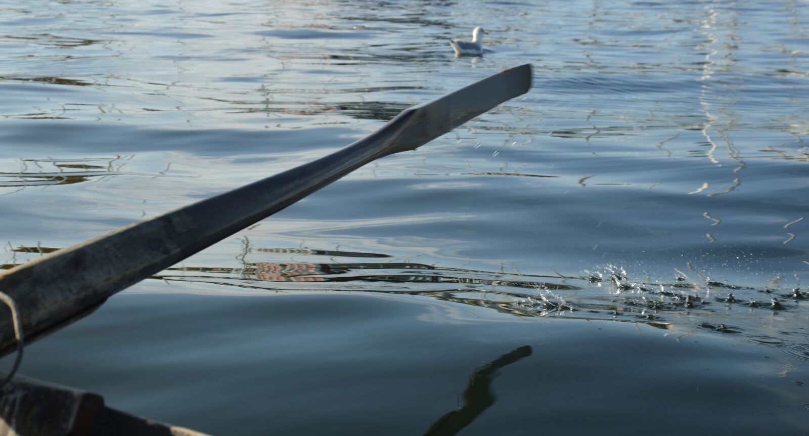Nikon D3200 sample photo. Ocean, fjord, rowing photography