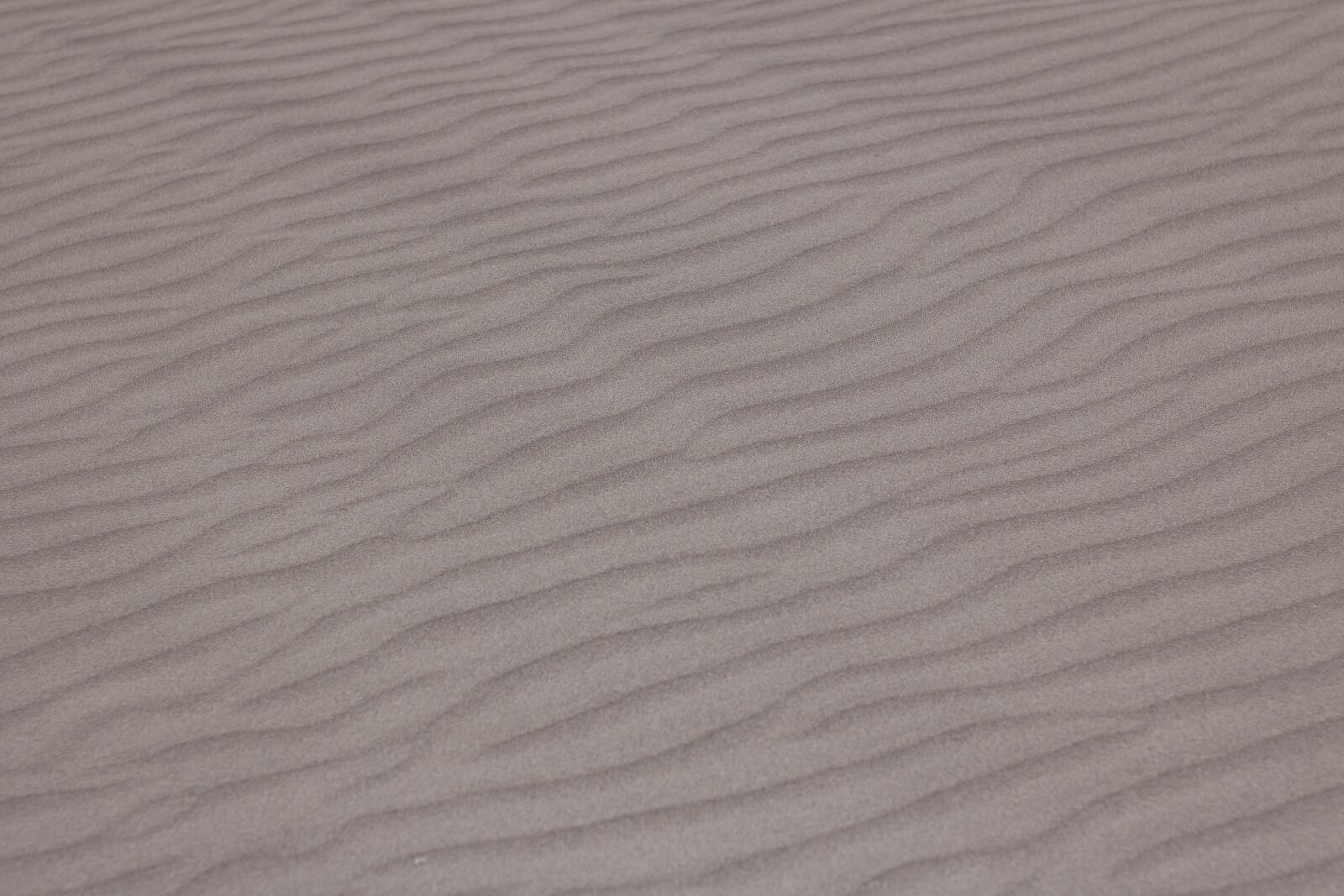 Canon EOS 750D (EOS Rebel T6i / EOS Kiss X8i) sample photo. Sand, beach, beach sand photography
