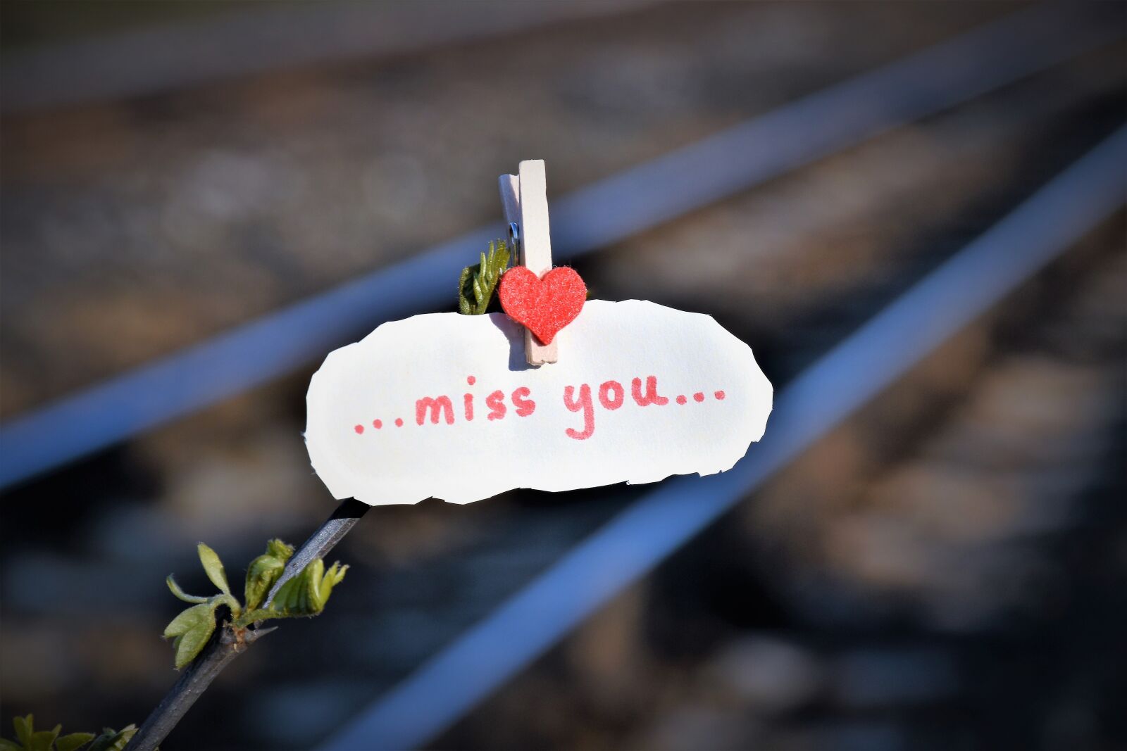 Nikon D5600 sample photo. Message, to lost love photography