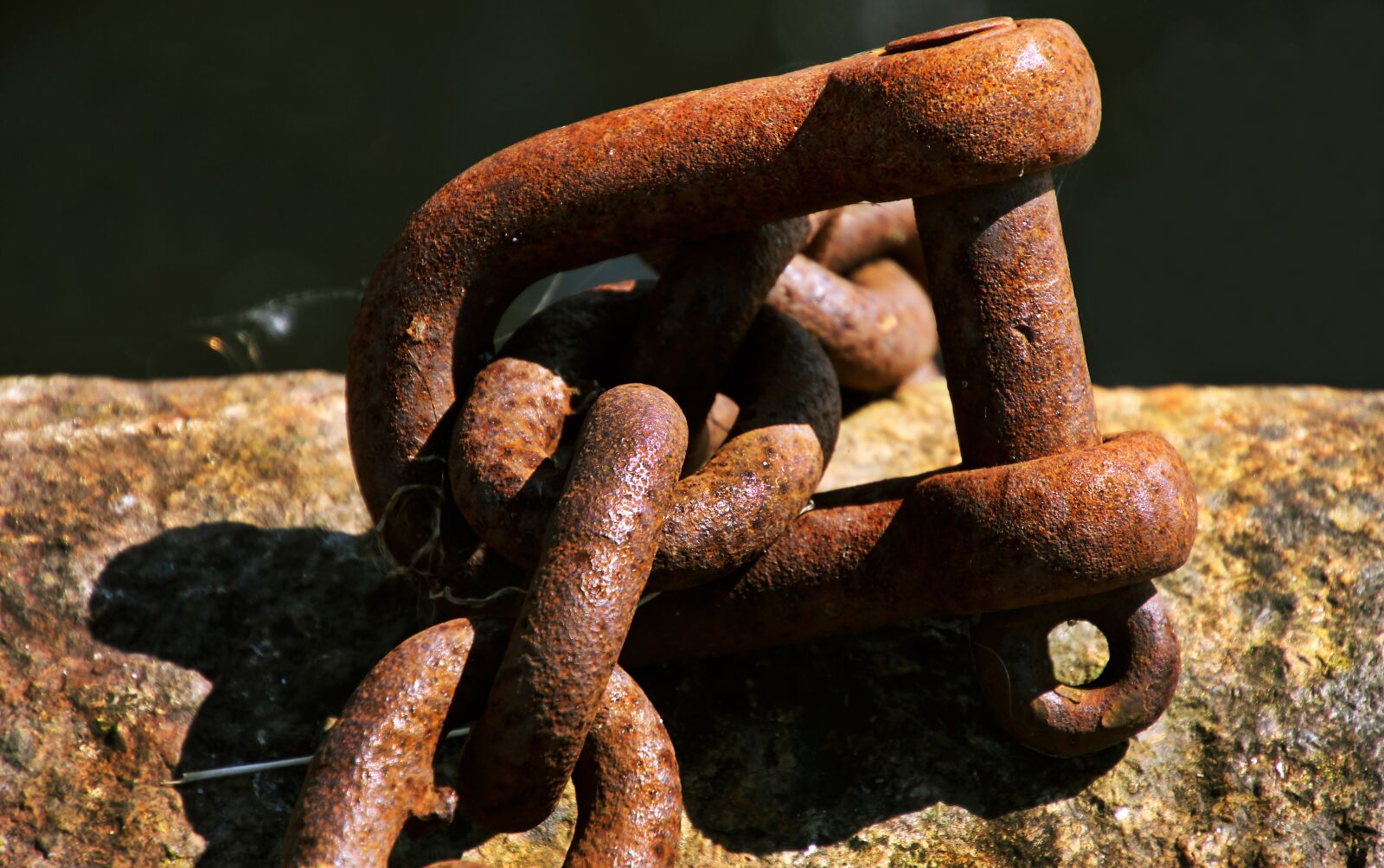 Canon EOS 700D (EOS Rebel T5i / EOS Kiss X7i) sample photo. Rust, chain, metal photography