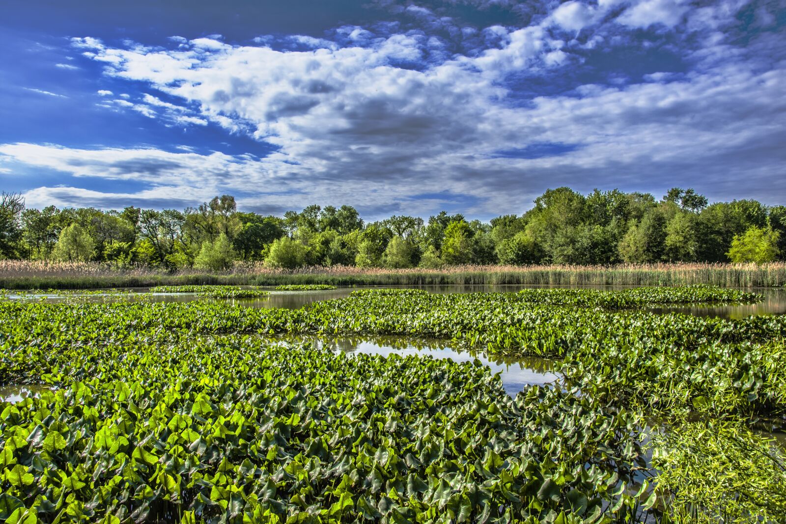 Nikon D7200 sample photo. Heinz wildlife refuge, park photography