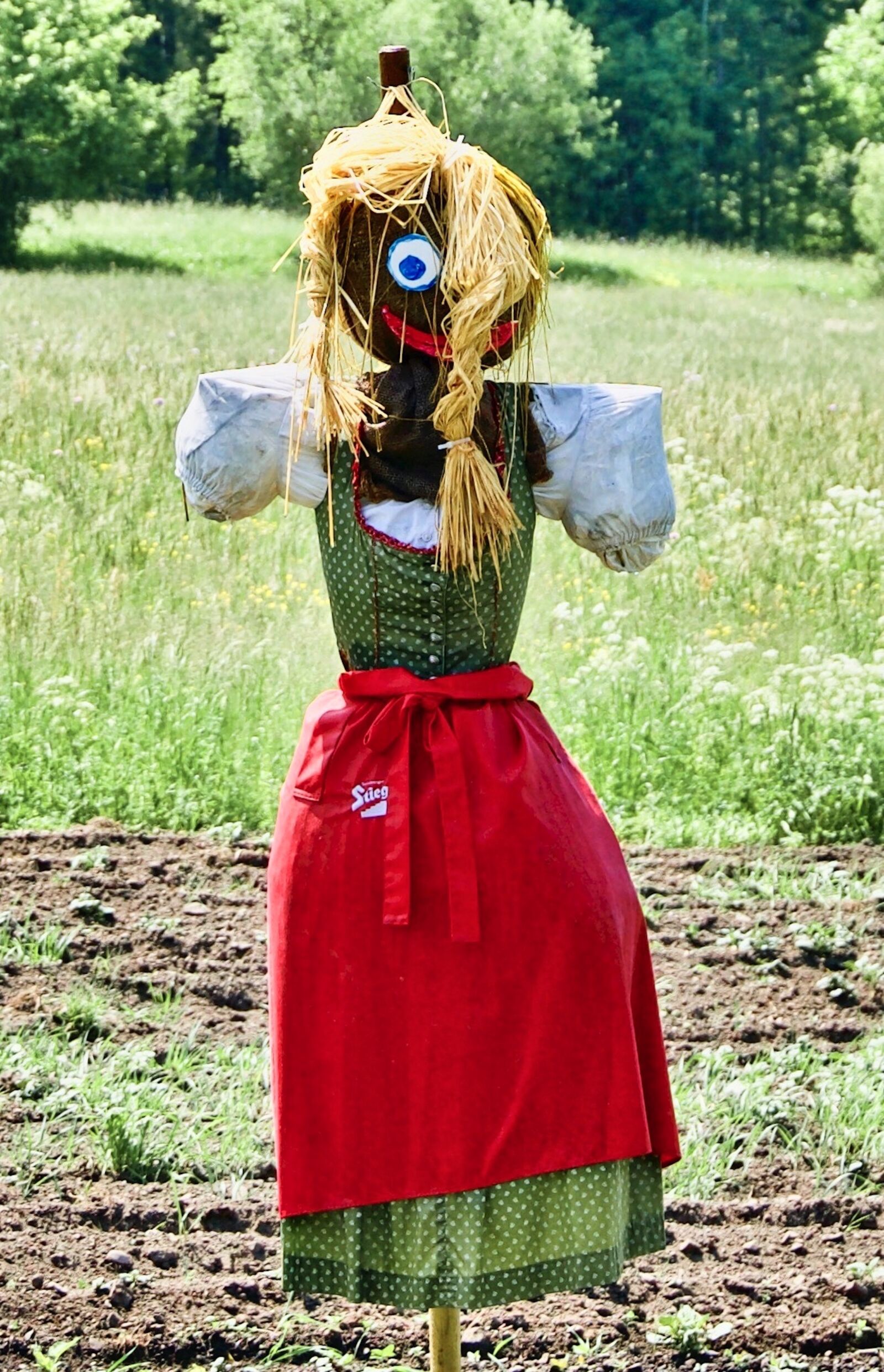 Sony a6500 sample photo. Scarecrow, figure, agriculture photography