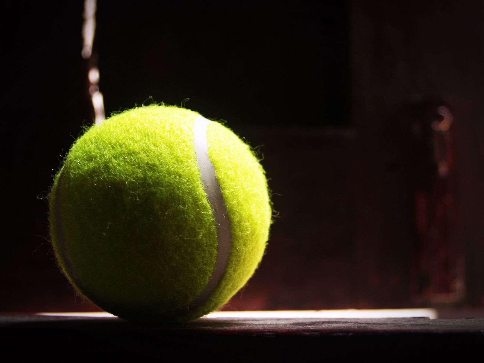 Olympus E-300 (EVOLT E-300) sample photo. Ball, racket, white photography