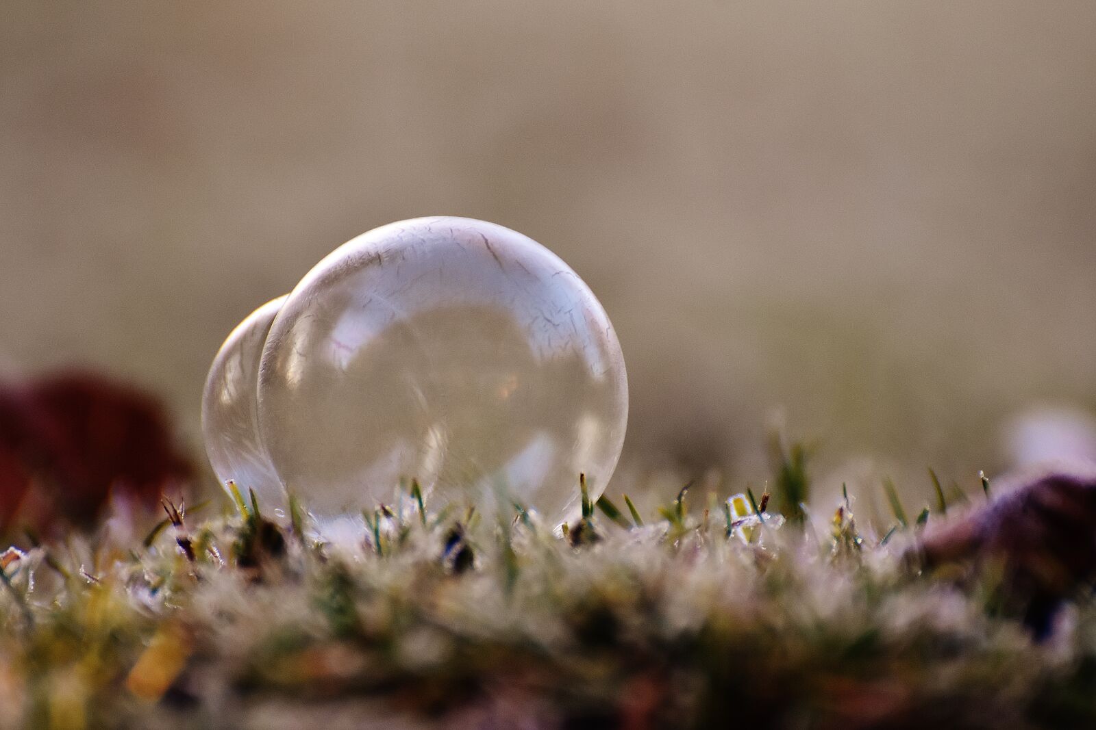 Nikon D7200 sample photo. Soap bubble, frozen, winter photography