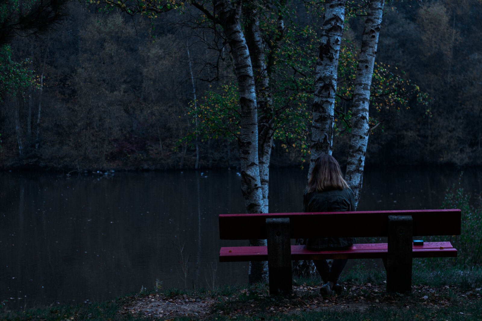 Canon EOS 70D sample photo. Alone, autumn, back, beautiful photography