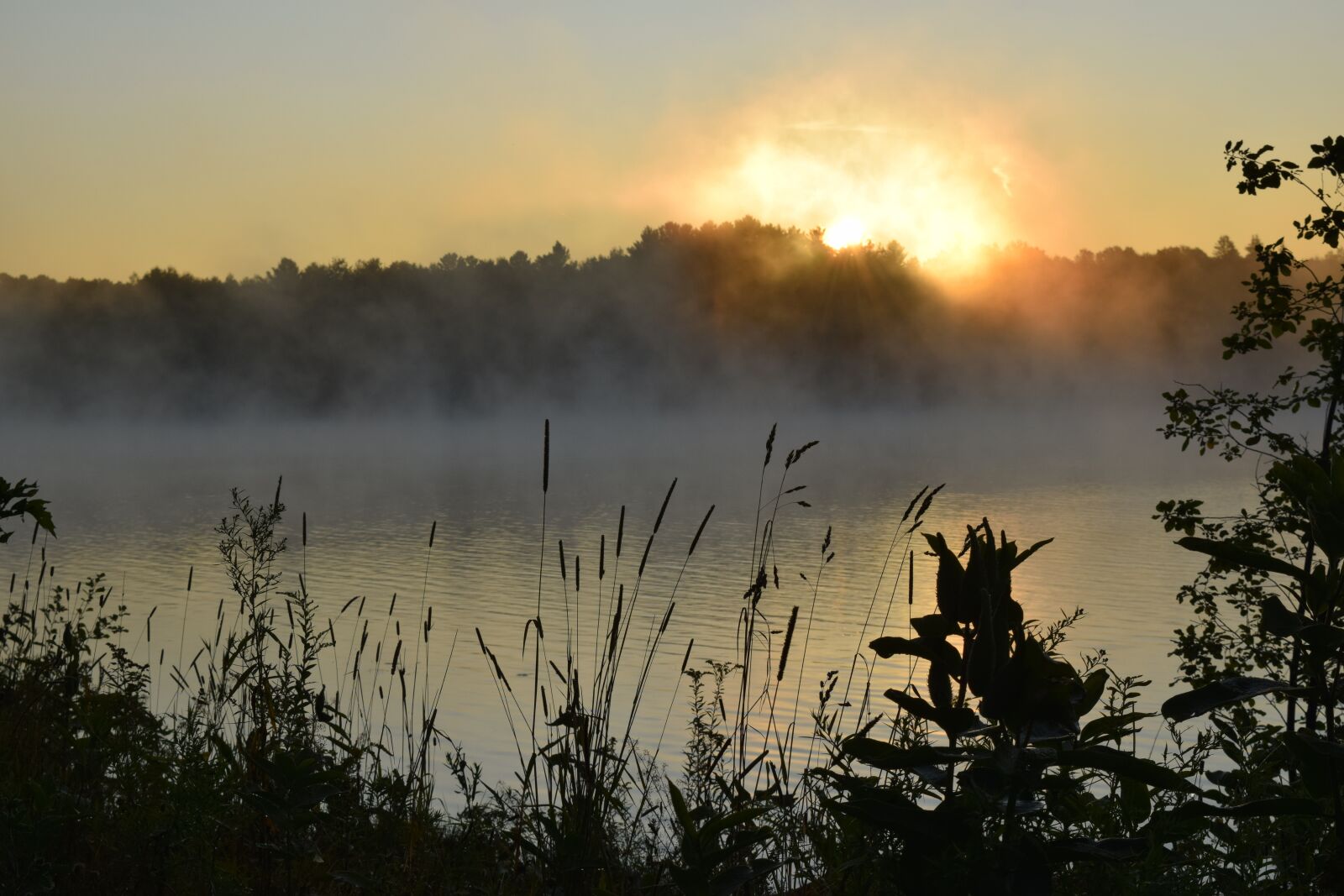 Nikon D3300 sample photo. Lake, morning, sun photography