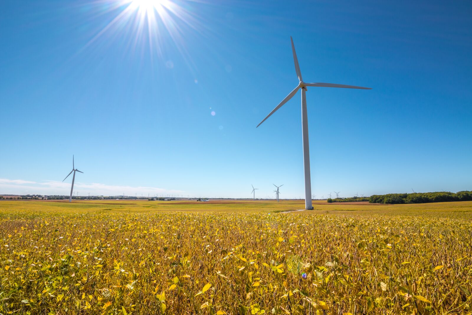 Canon EOS 70D sample photo. Wind turbine, windmill, harvest photography