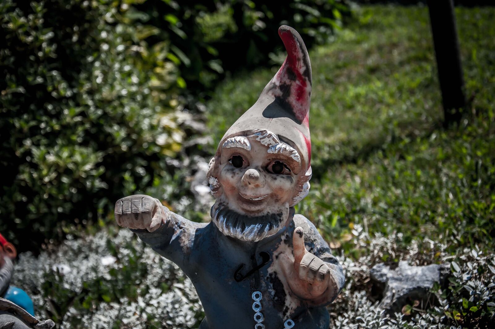 Nikon D90 sample photo. Dwarf, garden gnome, garden photography