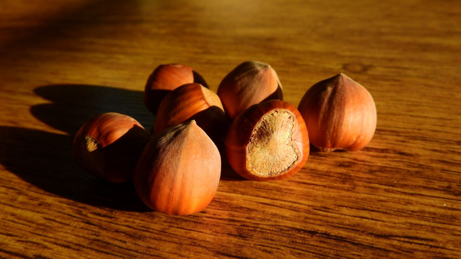 Nikon Coolpix P610 sample photo. Hazelnuts, nuts, hazel photography