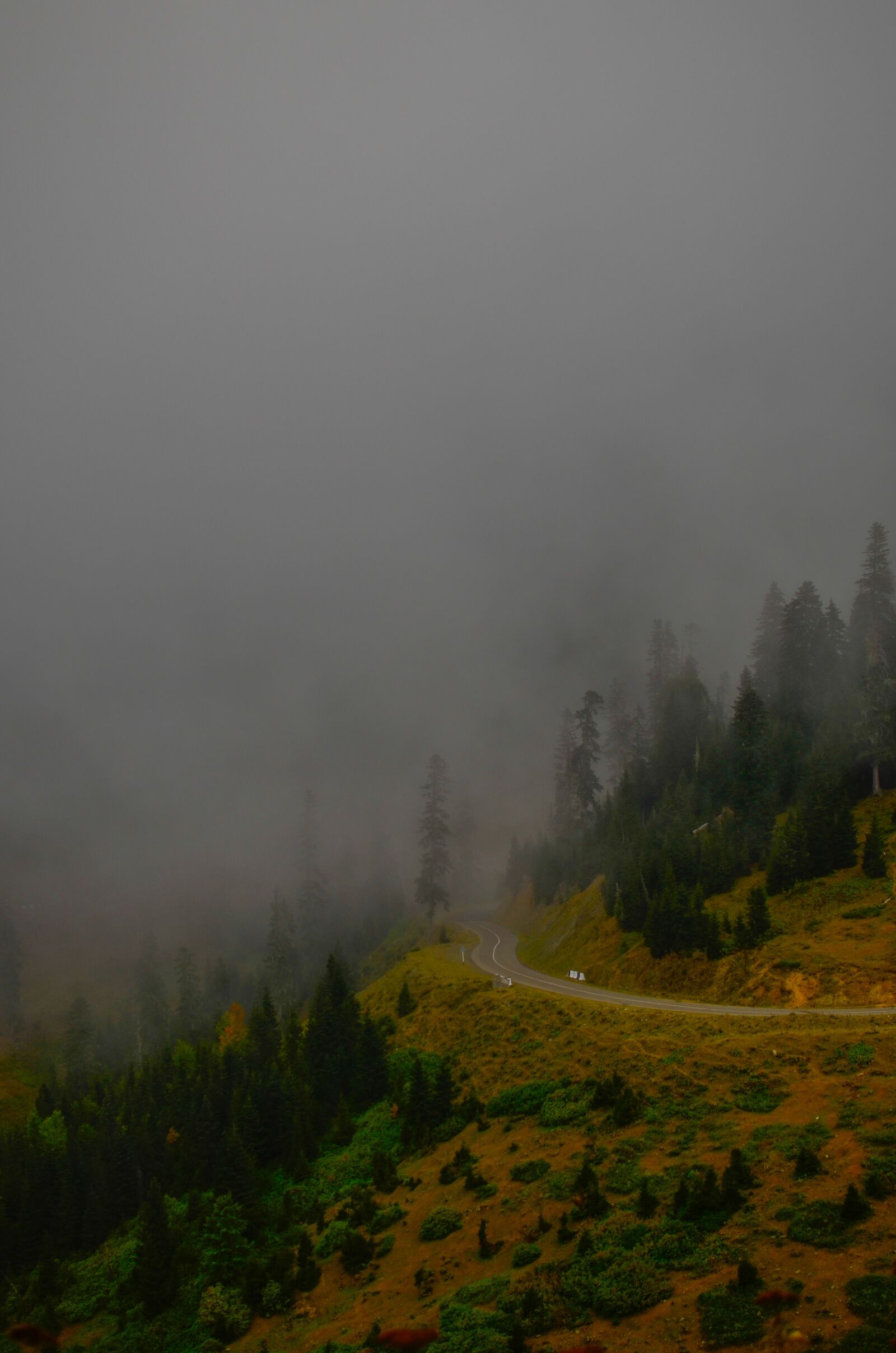Nikon D5100 sample photo. Forest, travel, mountain photography
