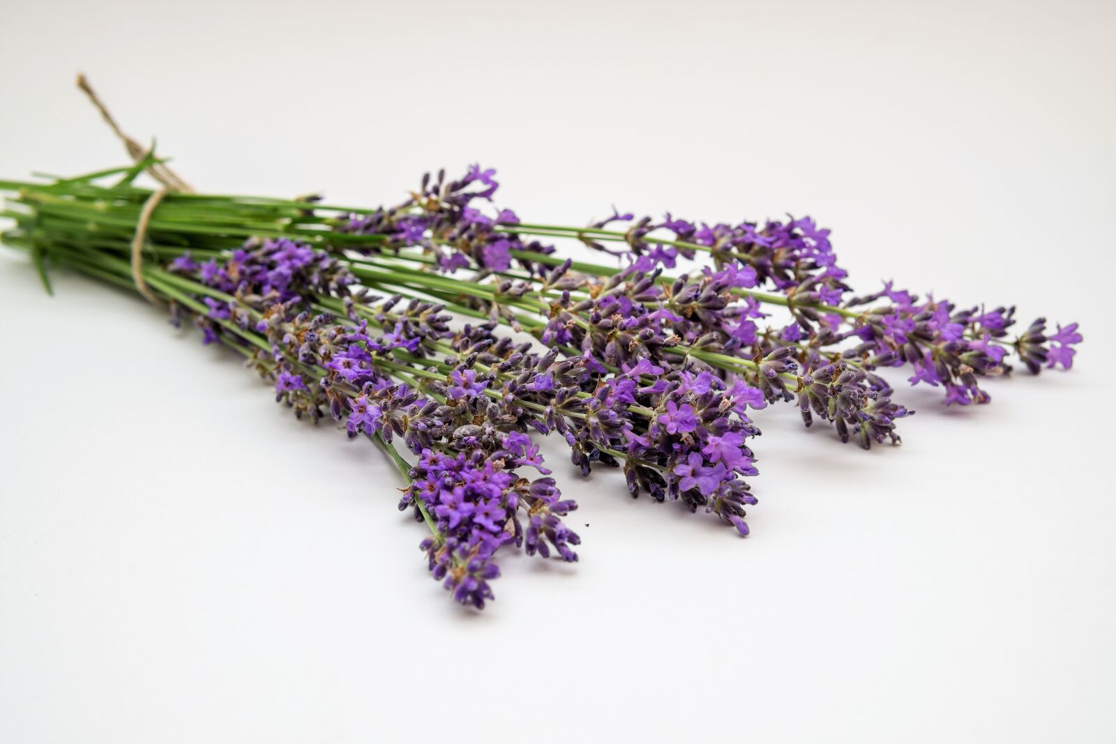 30mm F1.4 DC DN | Contemporary 016 sample photo. Lavender, flower, plant photography