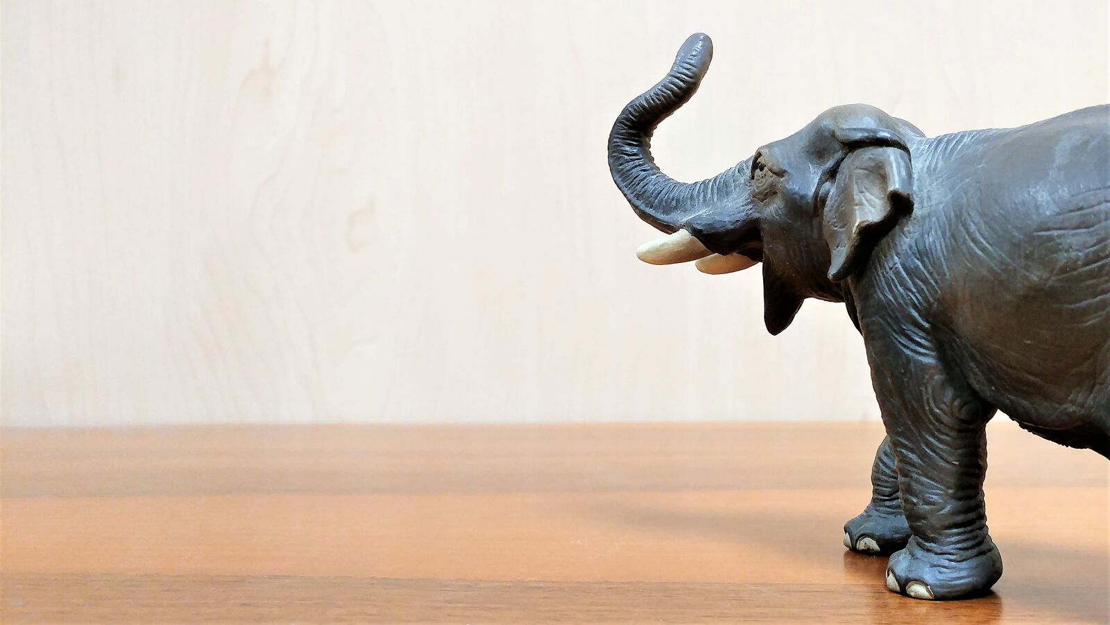 LG G5 sample photo. Elephant, deco, toy photography