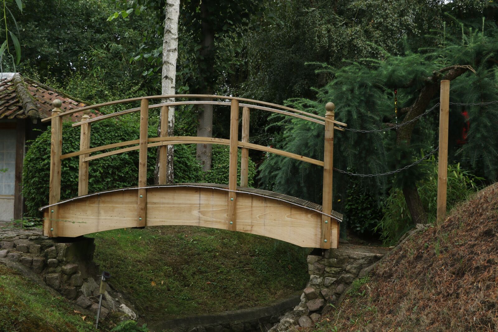 Canon EOS 7D Mark II sample photo. Bridge, trees, nature photography