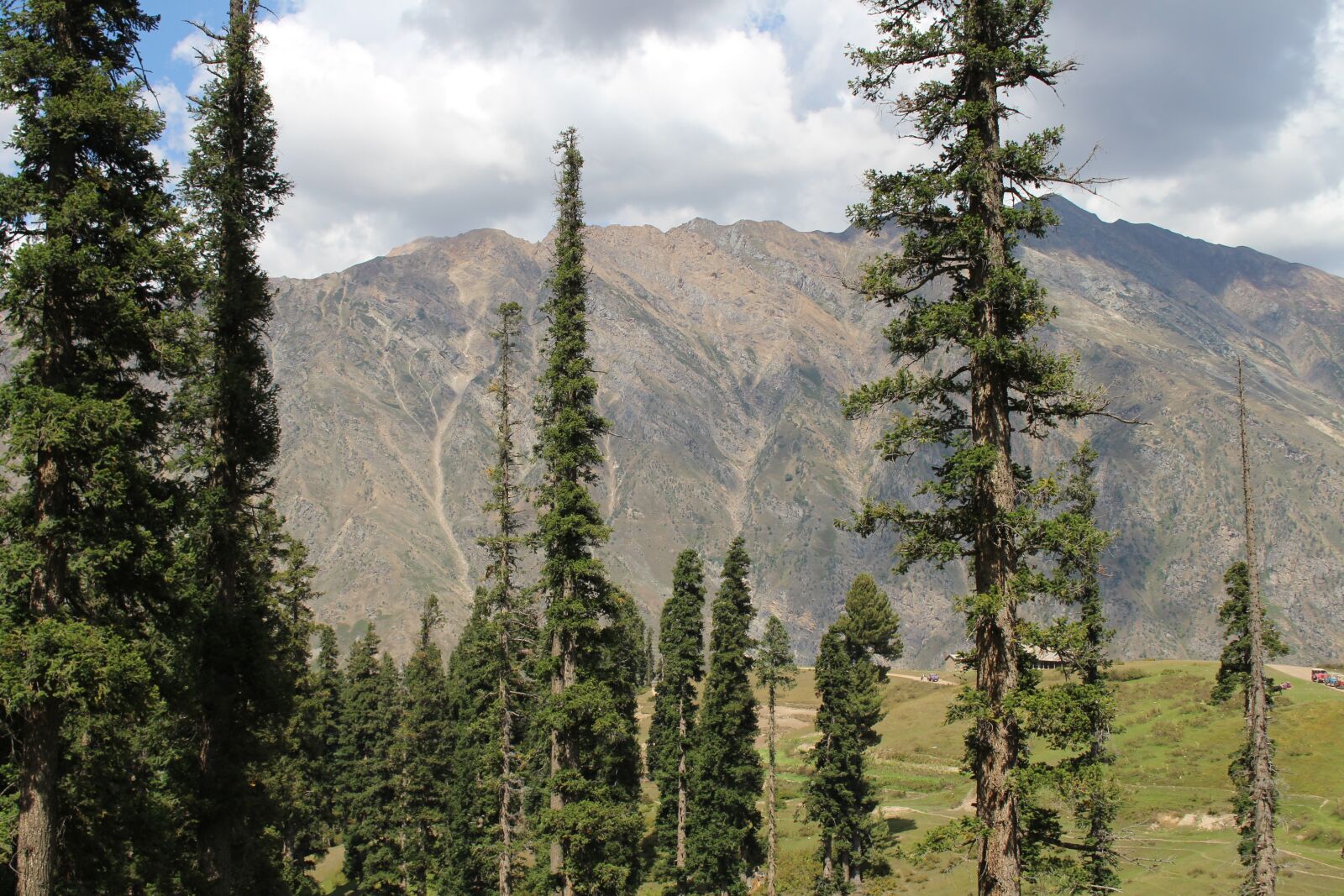 Canon EOS 700D (EOS Rebel T5i / EOS Kiss X7i) sample photo. Nature, tree, mountains photography