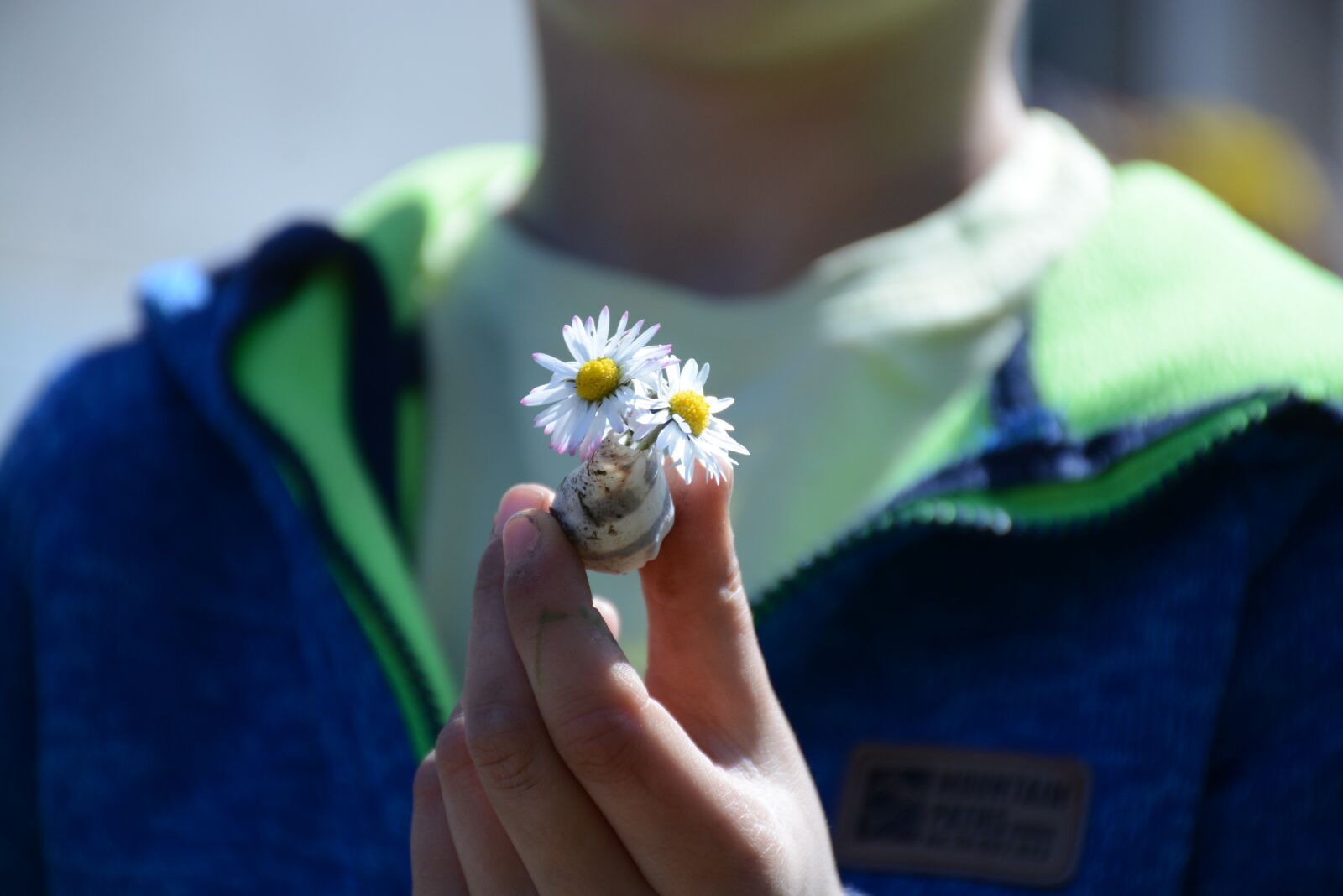 Nikon D7100 sample photo. Daisy, child, flowers photography