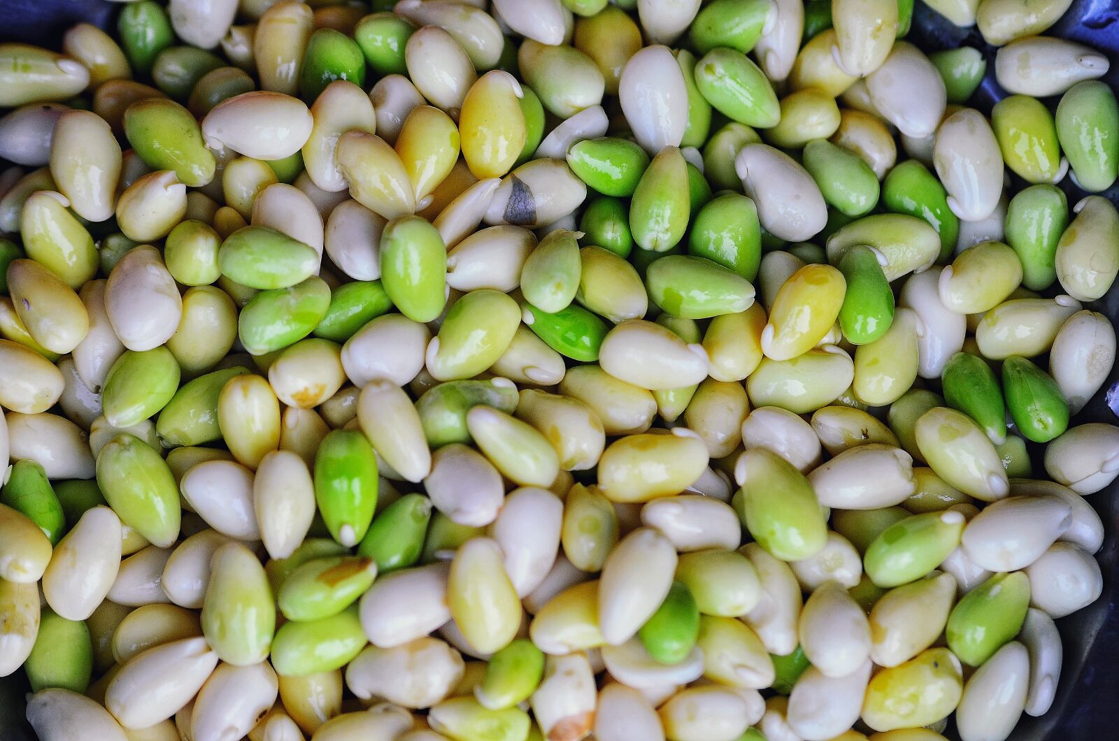 Nikon D5100 sample photo. Corn, maize, food photography