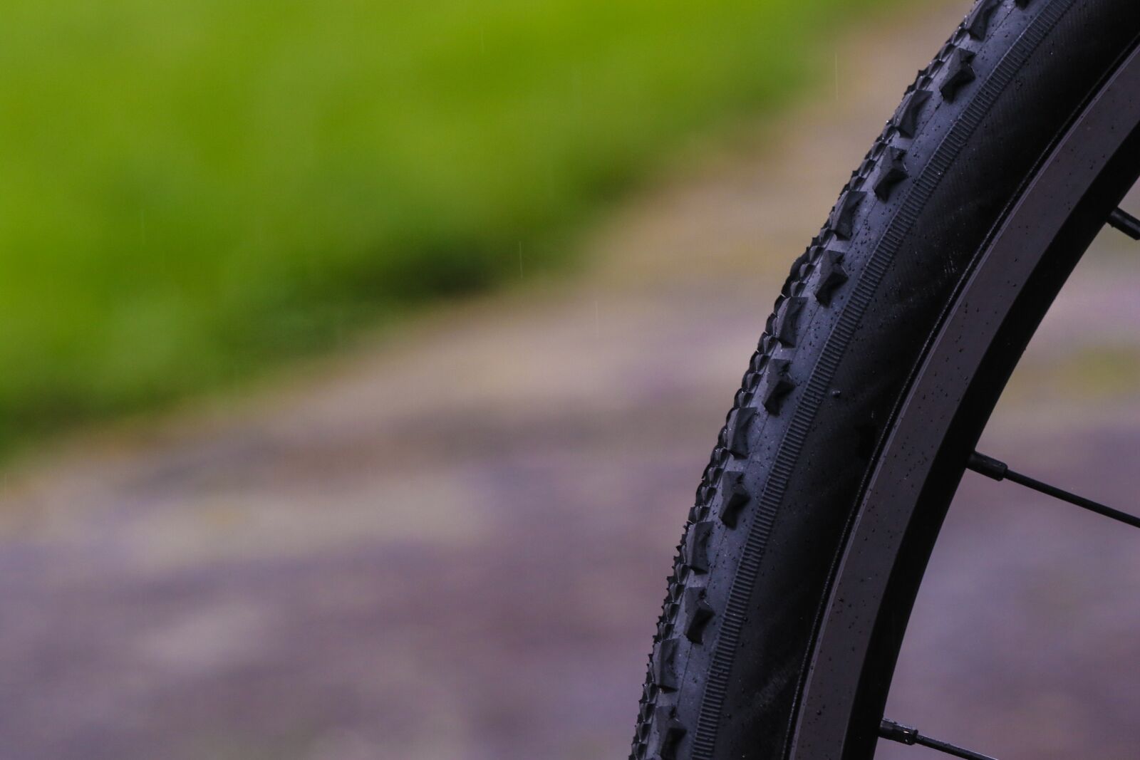 Canon EOS 7D Mark II sample photo. Wheel, bike, green photography
