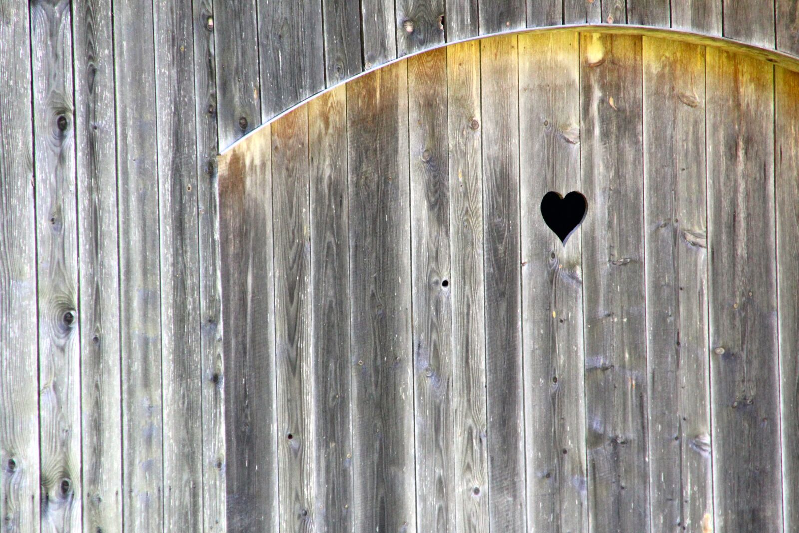 Canon EOS 600D (Rebel EOS T3i / EOS Kiss X5) sample photo. Woodhouse, heart, love photography
