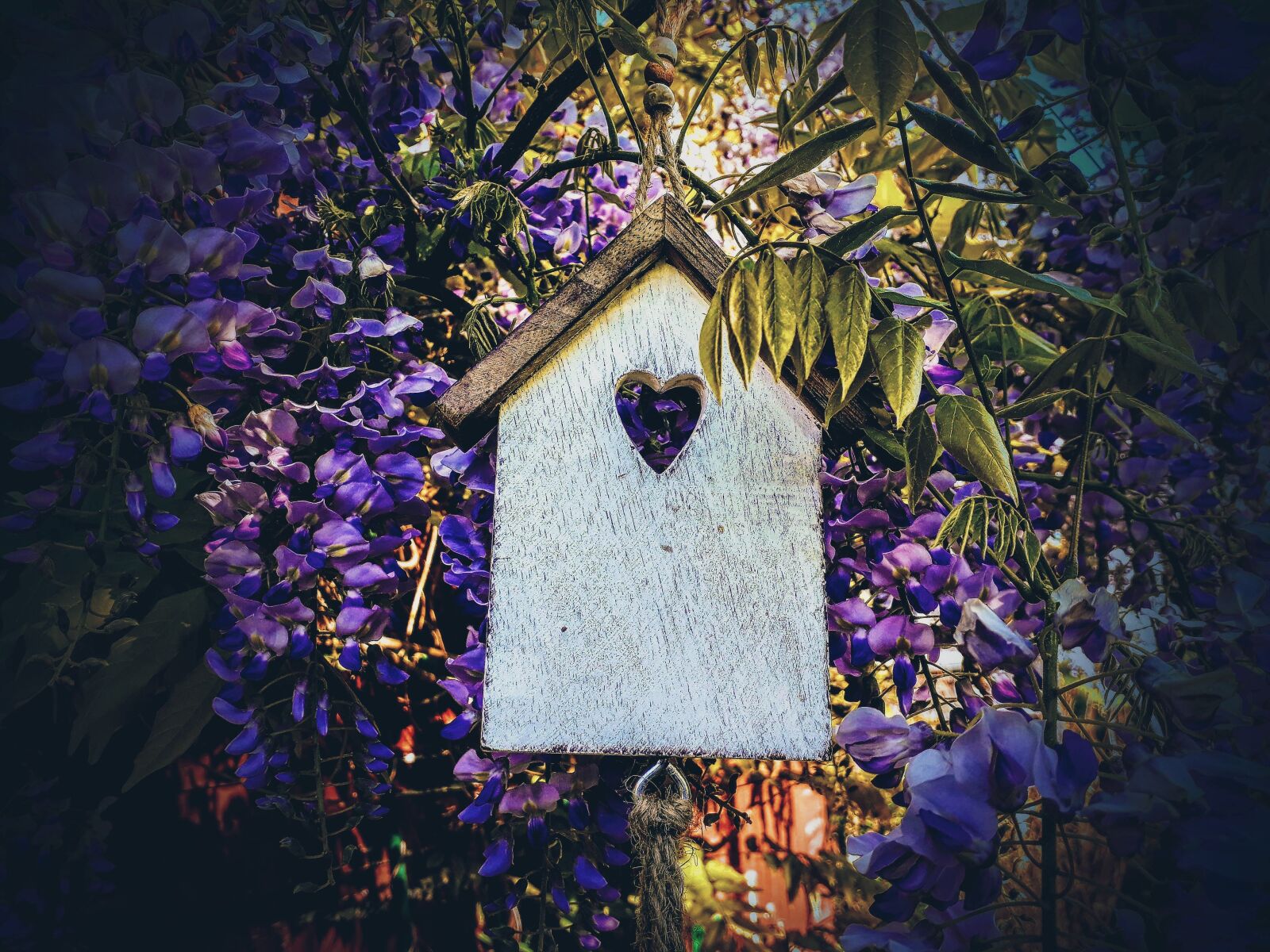 Samsung Galaxy A3(2017) sample photo. Aviary, blue rain, decoration photography