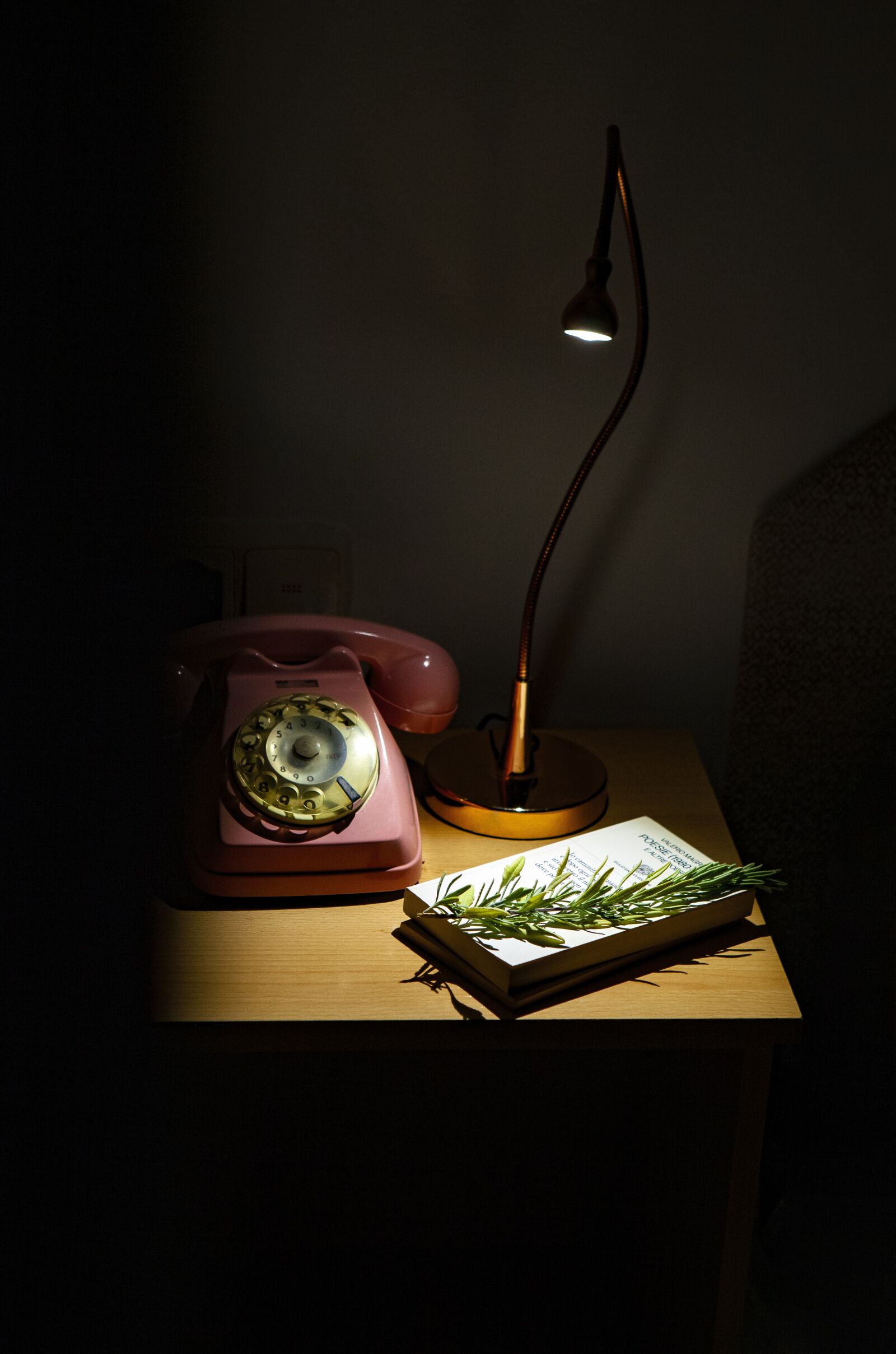 Canon EOS 5D Mark II sample photo. San jordi, reading, table photography