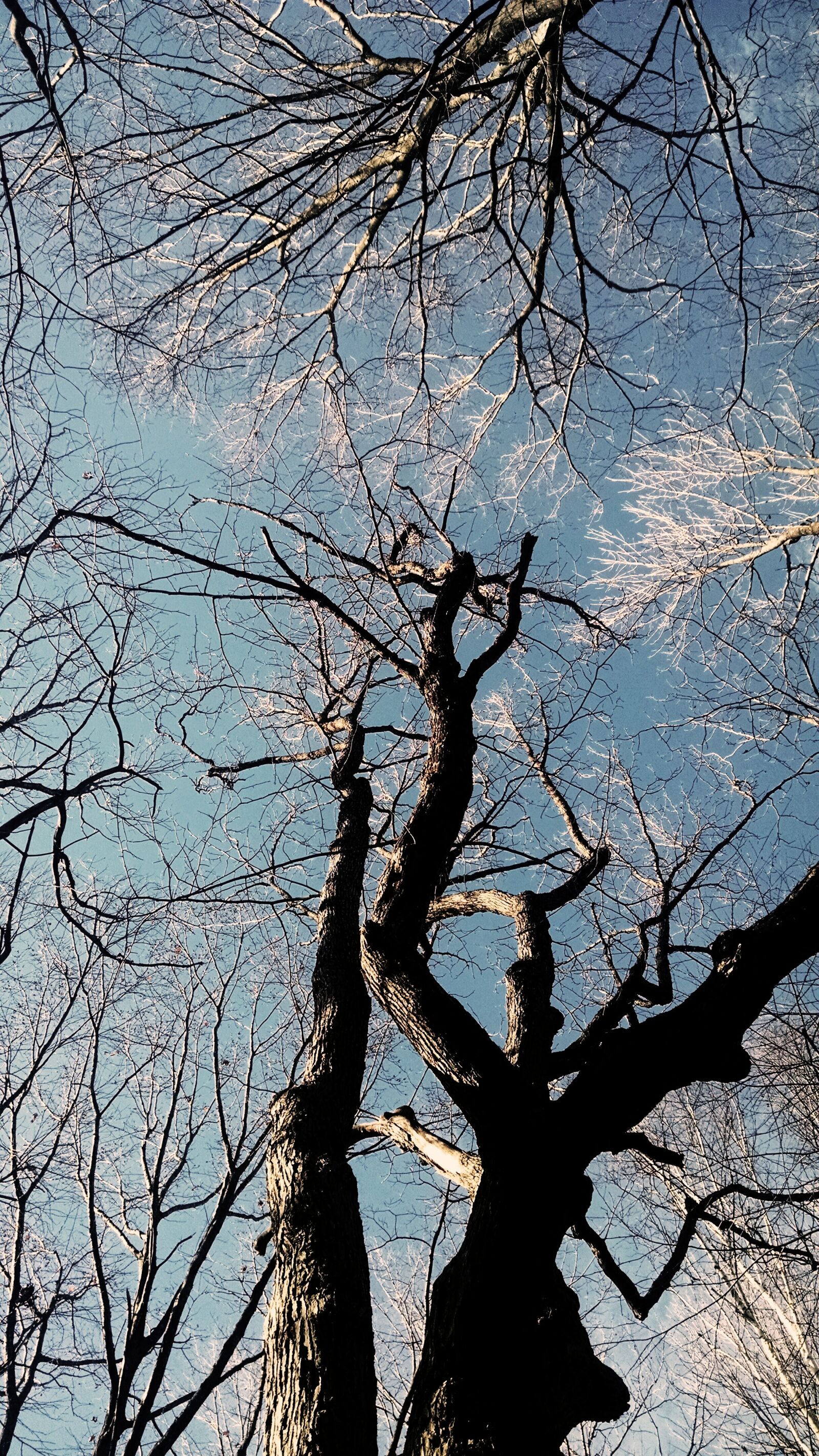 Motorola Moto X (1st Gen) sample photo
