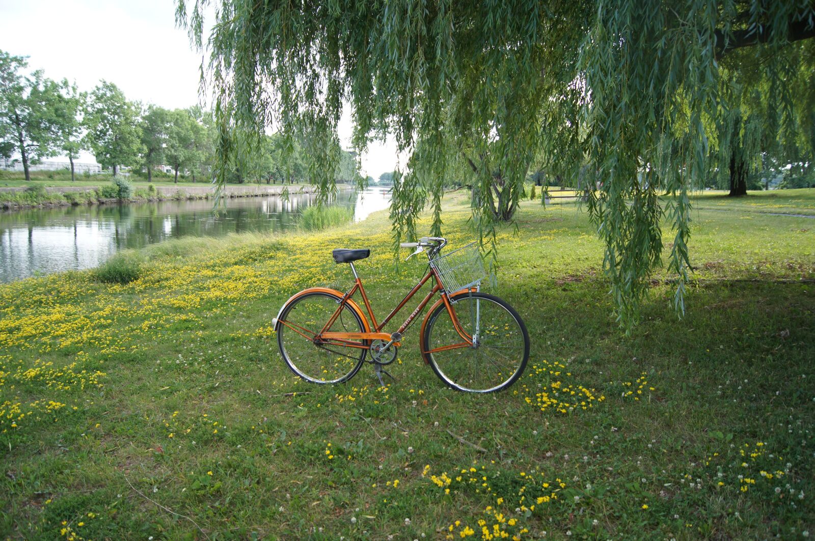 Sony SLT-A35 sample photo. Vintage, bicycle, bike photography