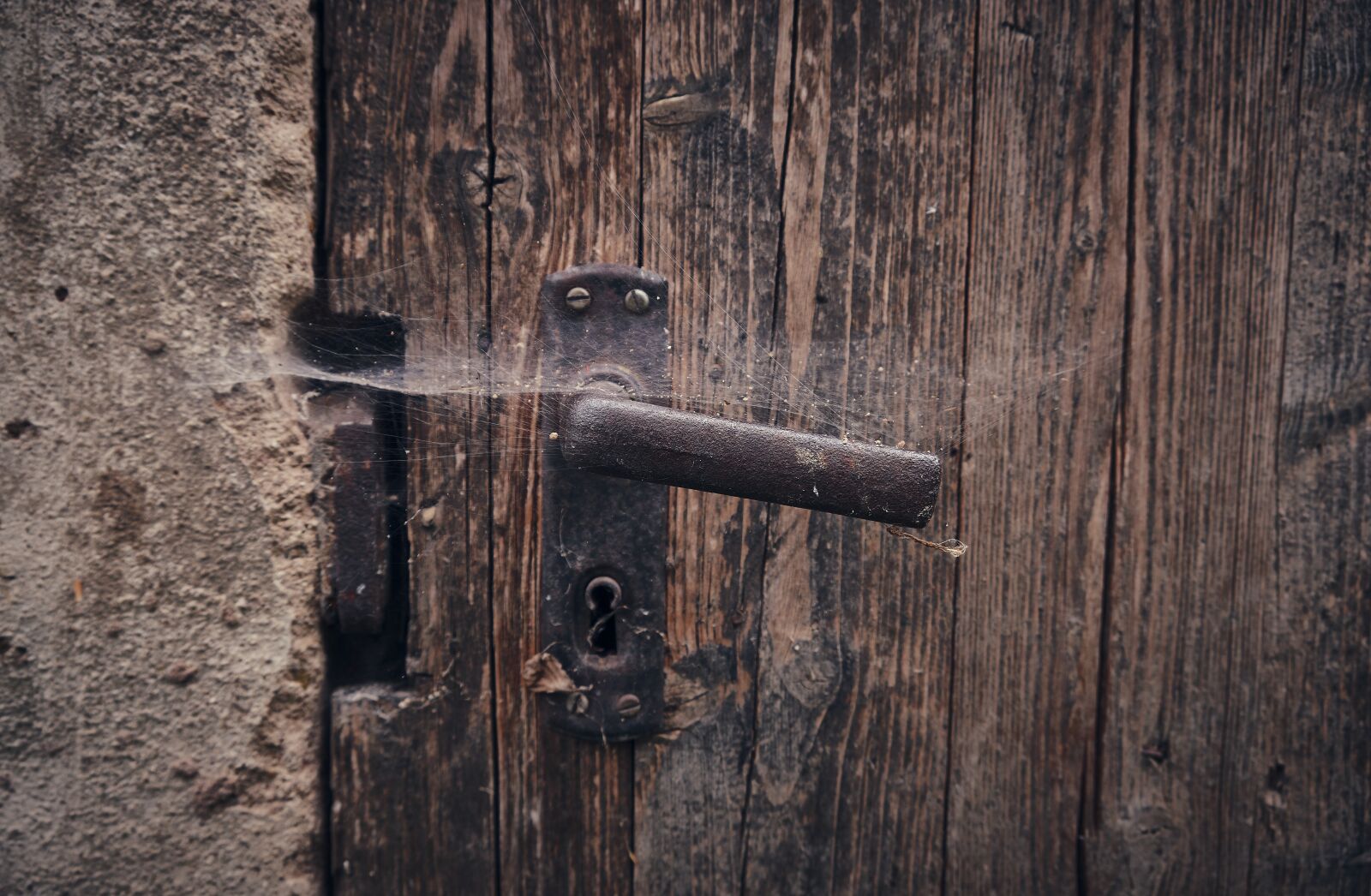 Fujifilm XF 18-55mm F2.8-4 R LM OIS sample photo. Door, handle, castle photography
