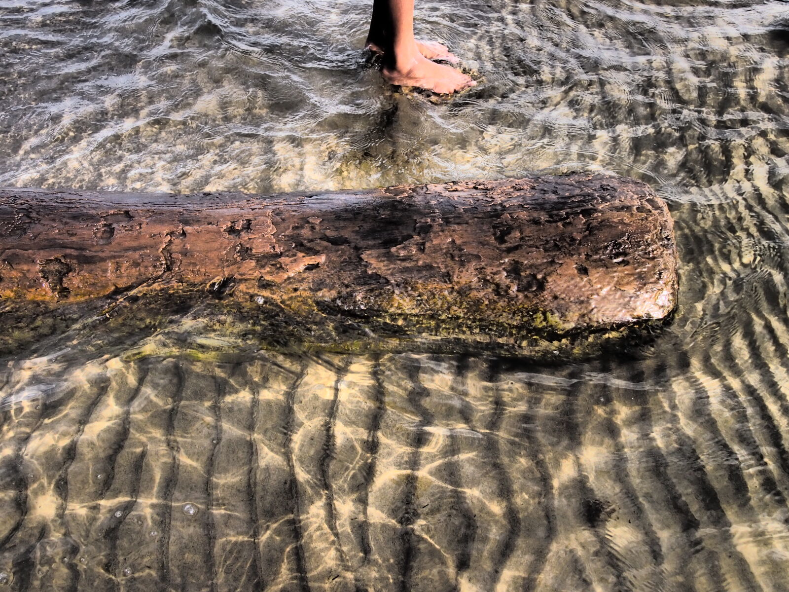 Olympus PEN E-PM1 sample photo. Feet, log, ripples, sand photography