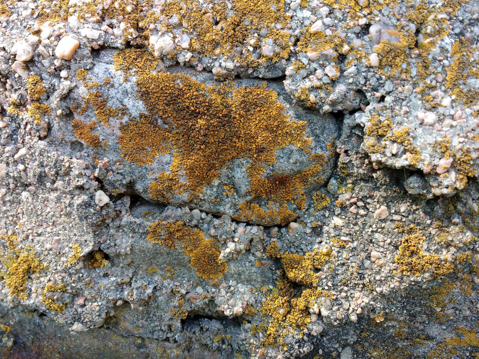 Motorola MotoG3 sample photo. Rough, stone, surface, rock photography