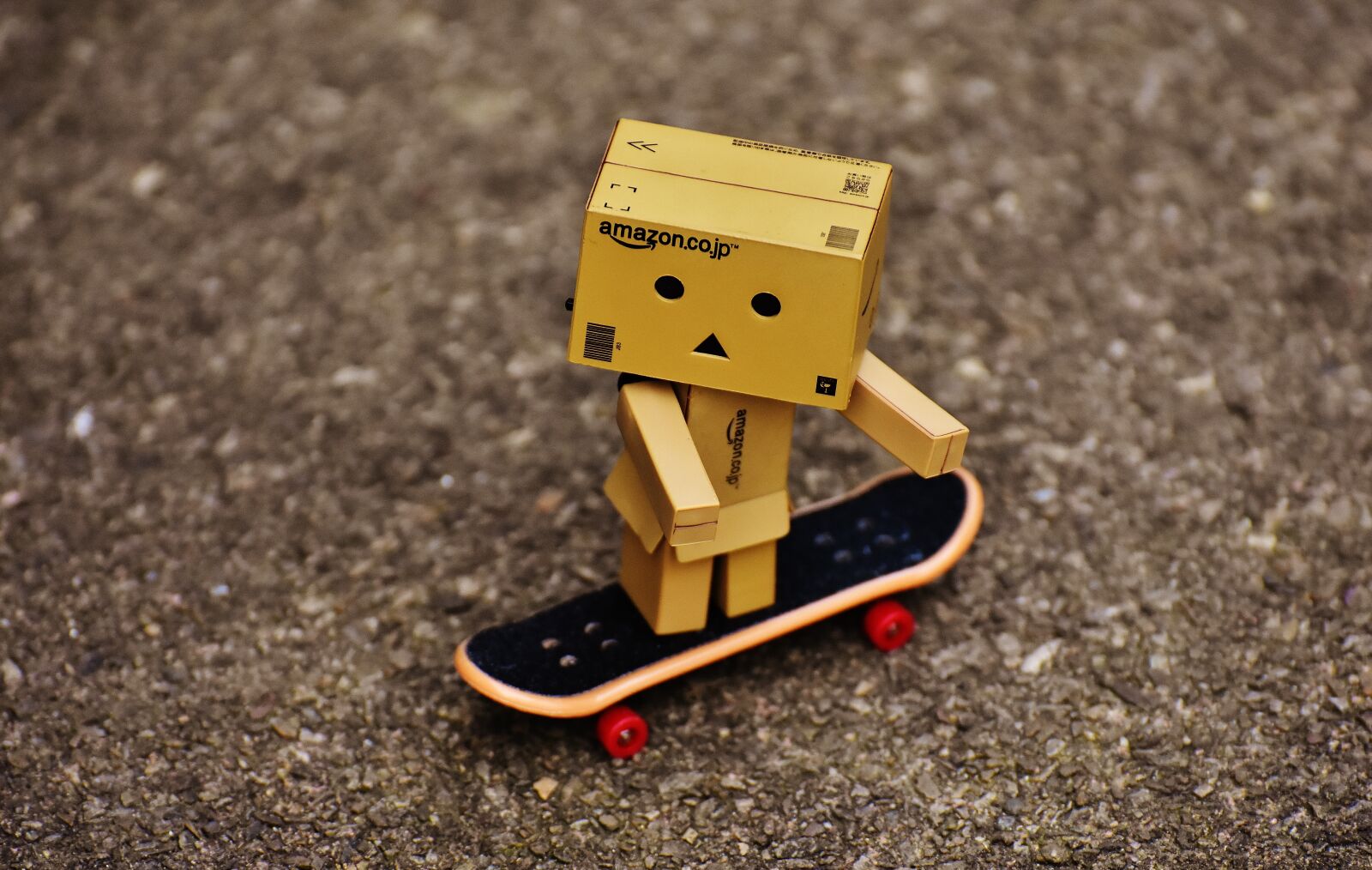 Nikon D7200 sample photo. Danbo, skateboard, drive photography