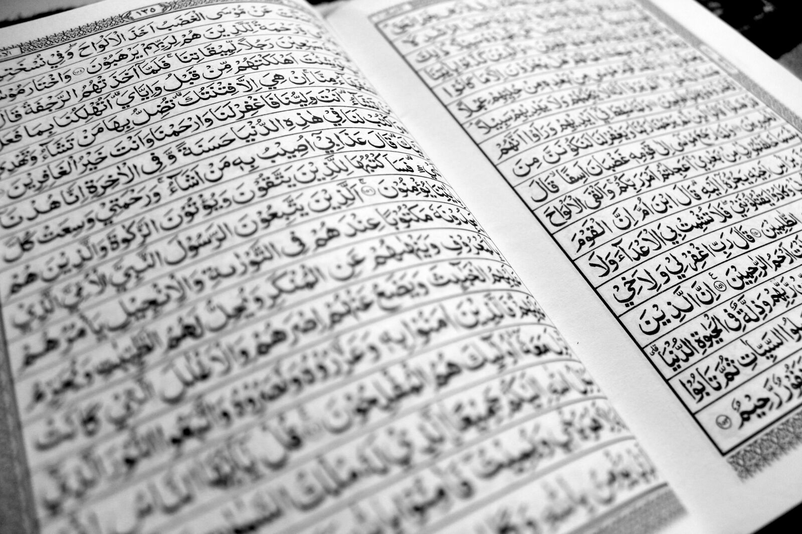 Canon EOS 600D (Rebel EOS T3i / EOS Kiss X5) sample photo. The quran, the koran photography