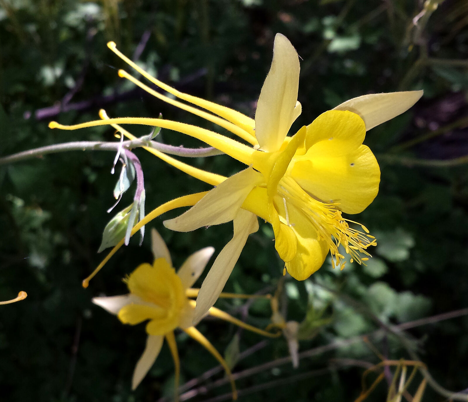 Samsung Galaxy S4 sample photo
