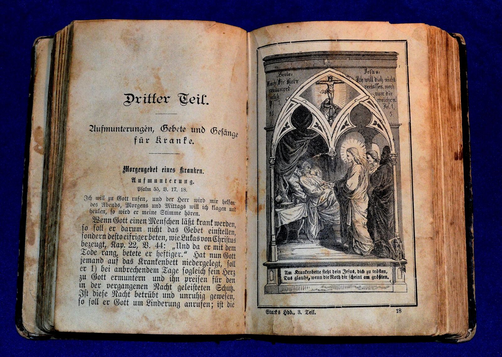 Nikon D5100 sample photo. Antiquariat, book, bible photography