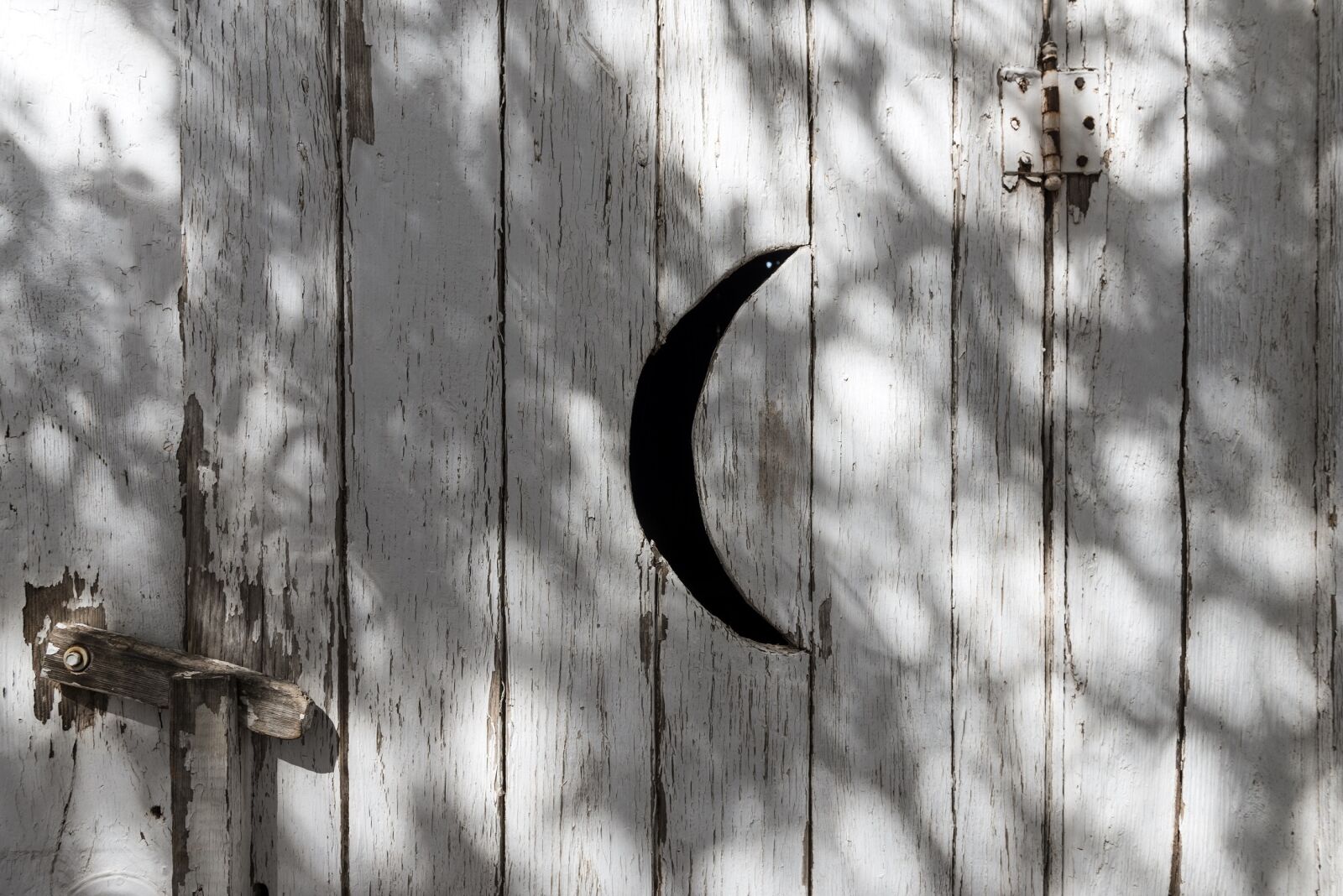 Nikon D800E sample photo. Outhouse door, wooden, toilet photography