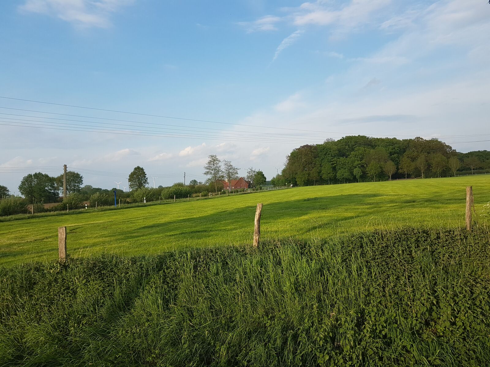 Samsung Galaxy S7 Edge sample photo. Laer, spring, green photography