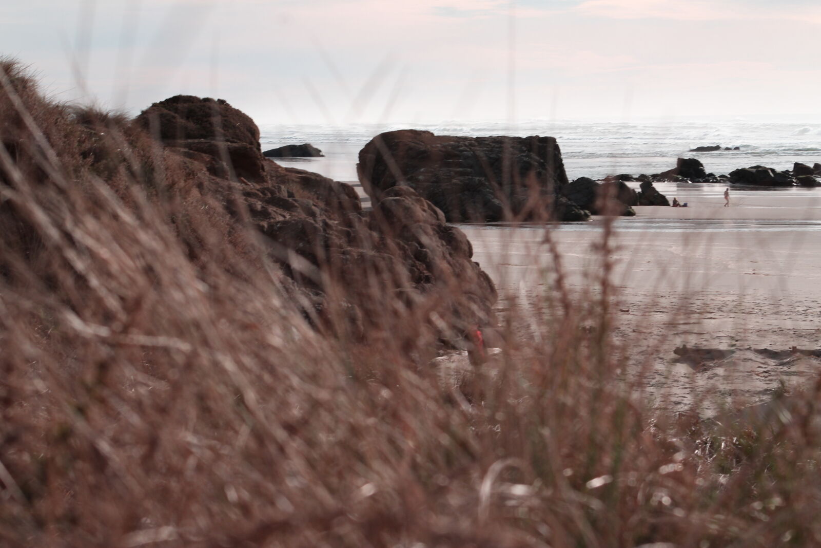 Canon EOS 1200D (EOS Rebel T5 / EOS Kiss X70 / EOS Hi) sample photo. Beach, coast, coastline, oregon photography