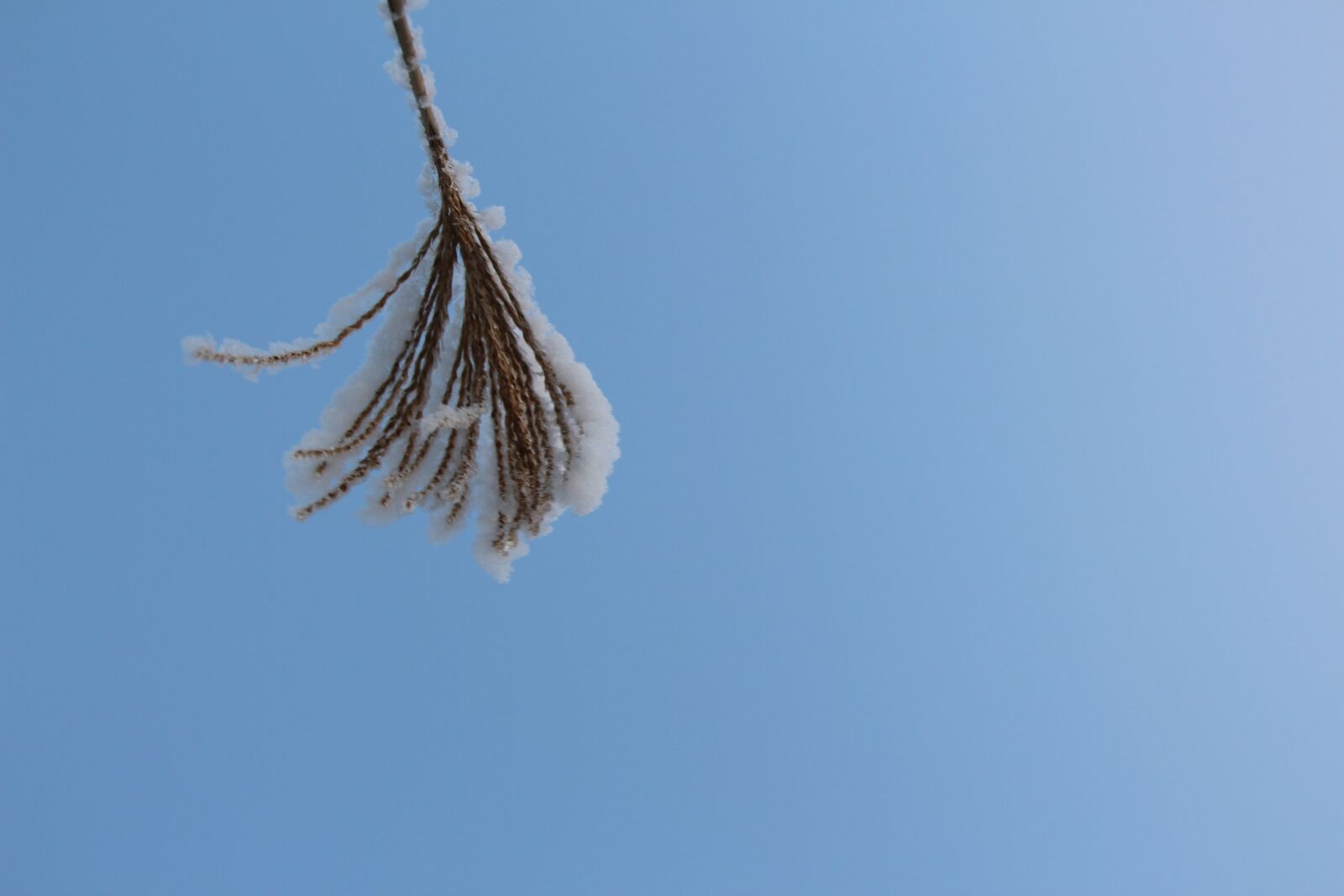 Canon EOS 650D (EOS Rebel T4i / EOS Kiss X6i) sample photo. Snow, grass, sky photography