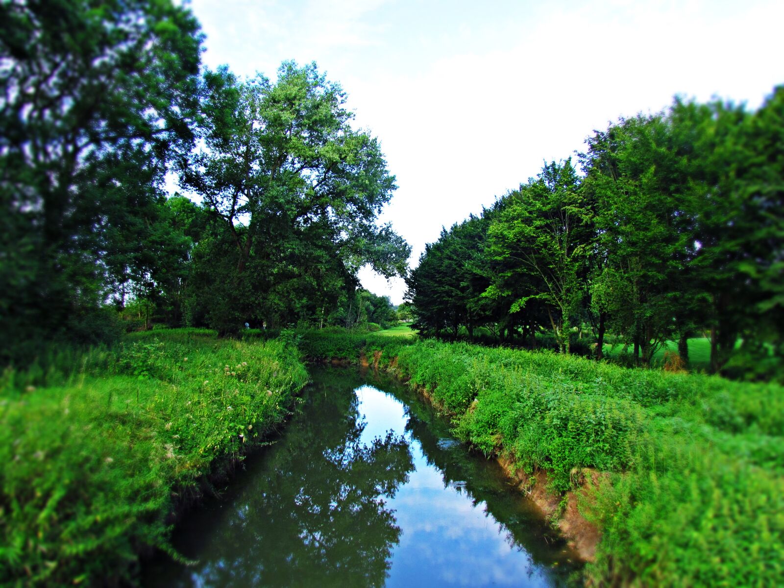 Canon PowerShot SX30 IS sample photo. Green, park, nature photography